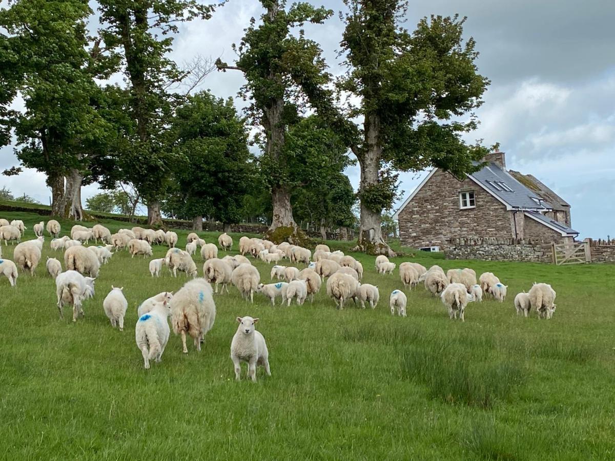 Вилла Pant Llwyd Farm Llangynidr Экстерьер фото