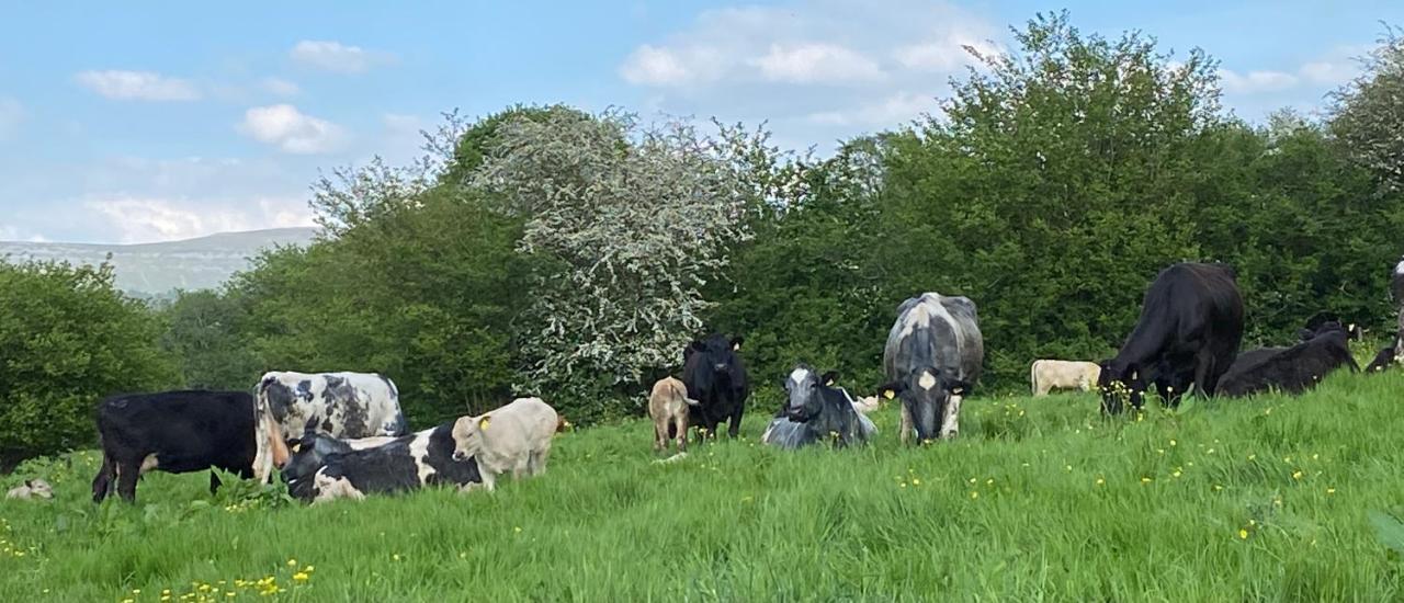Вилла Pant Llwyd Farm Llangynidr Экстерьер фото